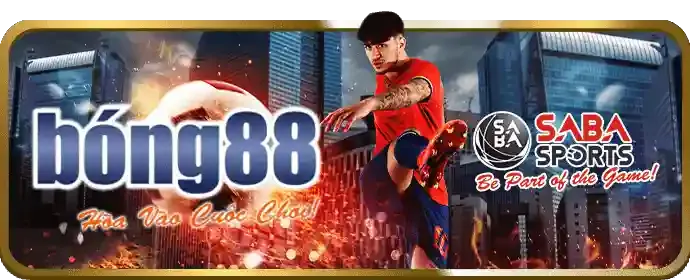Mẹo cá cược thể thao hiệu quả tại gg8816体育投注